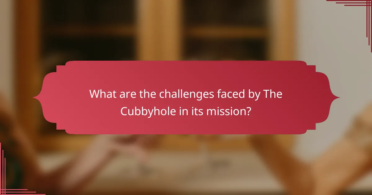 What are the challenges faced by The Cubbyhole in its mission?