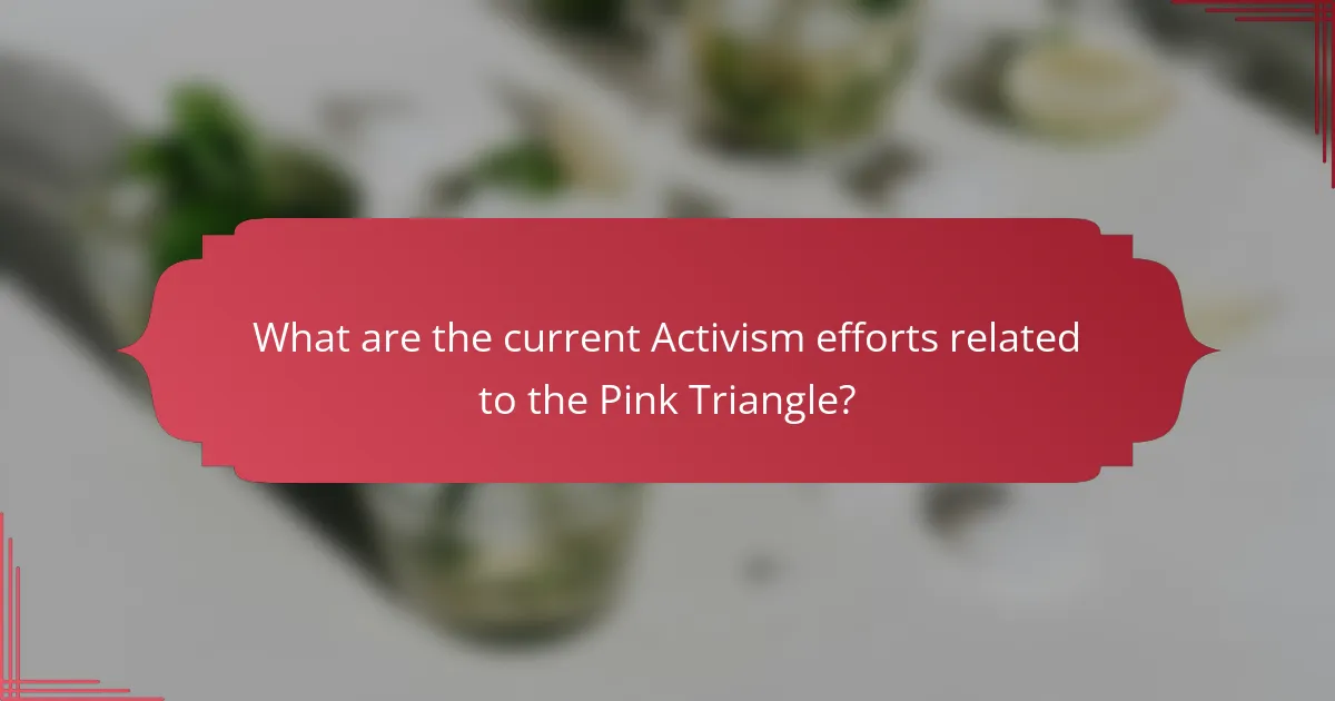 What are the current Activism efforts related to the Pink Triangle?